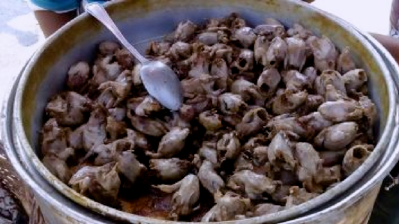 هل يمكن تناولها وماهى فوائدها .. العصافير المحمرة من قلب الأسواق الشعبية