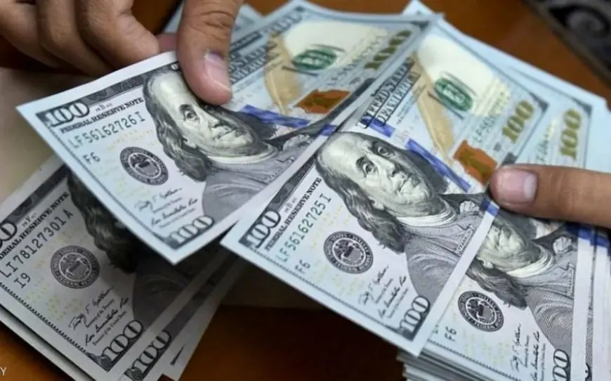 سعر الدولار مقابل الجينة المصري اليوم الثلاثاء 18 يونيو 2024