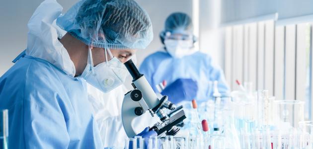 أسعار تحاليل معمل المختبر 2024 وسعر تحليل cbc وسعر تحليل الغدة الدرقية