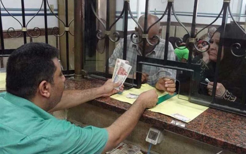 موعد صرف مكافأة الامتحانات للمعلمين ٢٠٢٤ وكافة التفاصيل عن قيمة المكافئات