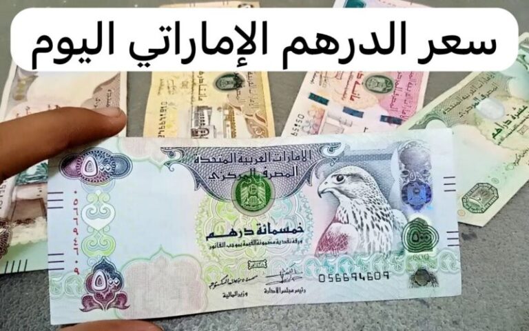 سعر الدرهم الإماراتي أمام الجنيه المصري اليوم الإثنين 15 يوليو 2024