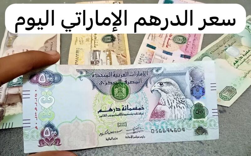 سعر الدرهم الإماراتي أمام الجنيه المصري اليوم الإثنين 15 يوليو 2024
