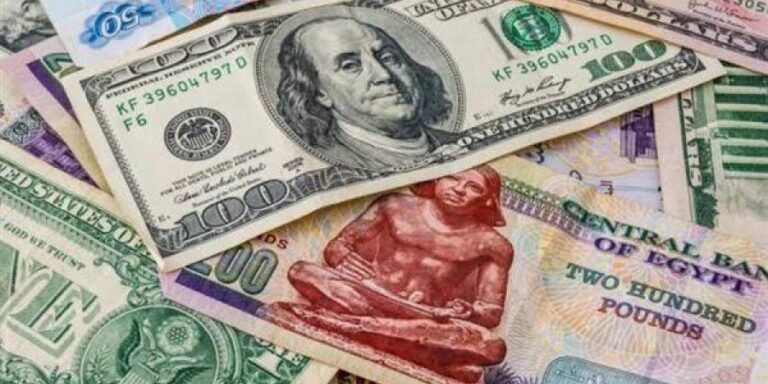 أسعار الدولار فى البنوك اليوم السبت 13 يوليو 2024
