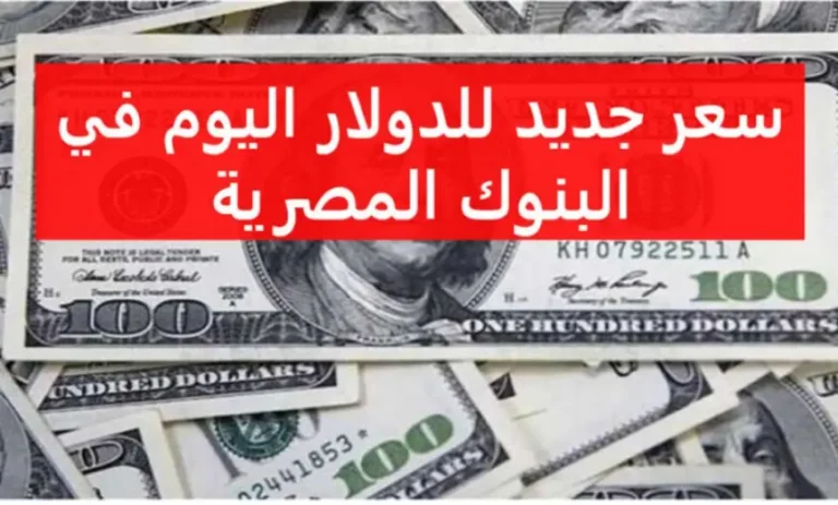 اسعار الدولار اليوم الاحد 28 يوليو 2024