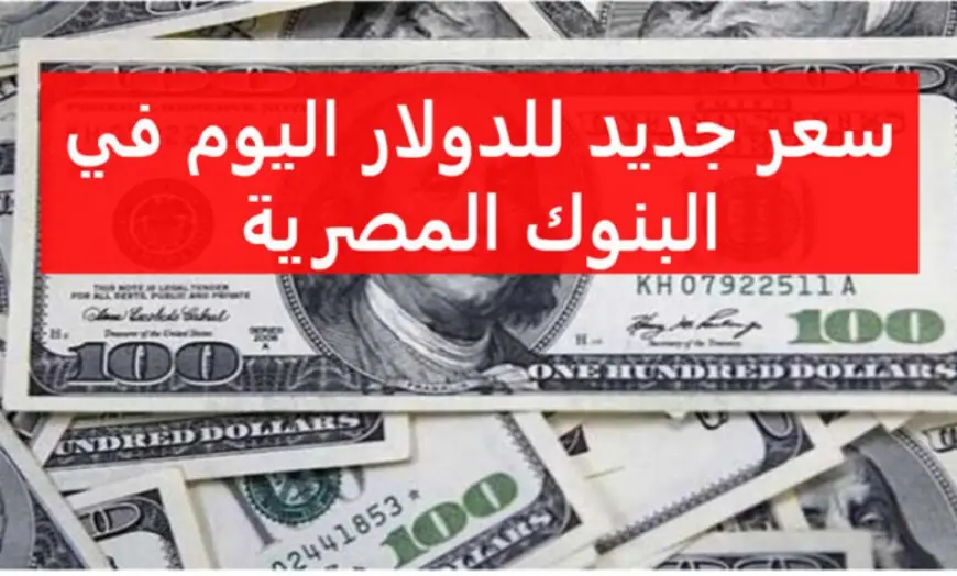 اسعار الدولار اليوم الاحد 28 يوليو 2024
