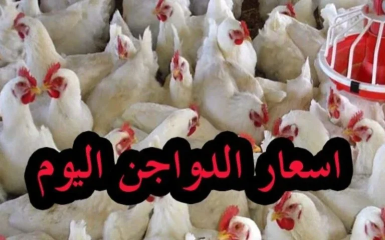 انخفاض أسعار الدواجن والبيض اليوم الجمعة 19 يوليو  2024 