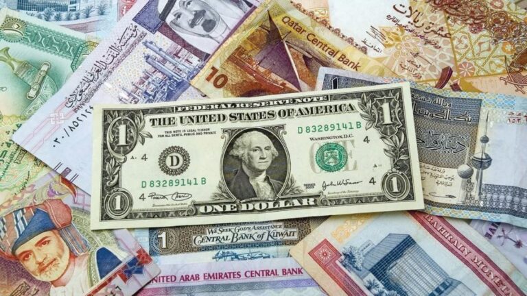 سعر الدولار مقابل الجنيه المصري اليوم الإثنين 26 أغسطس 2024