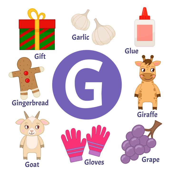 كلمات انجليزية تبدأ بحرف G للاطفال