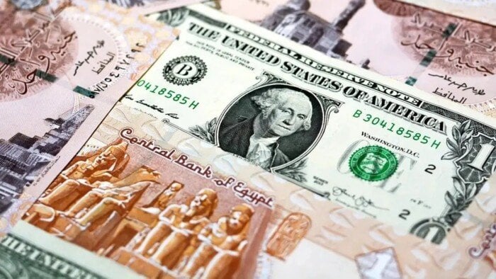 سعر الدولار مقابل الجنيه المصري اليوم السبت 24 أغسطس 2024