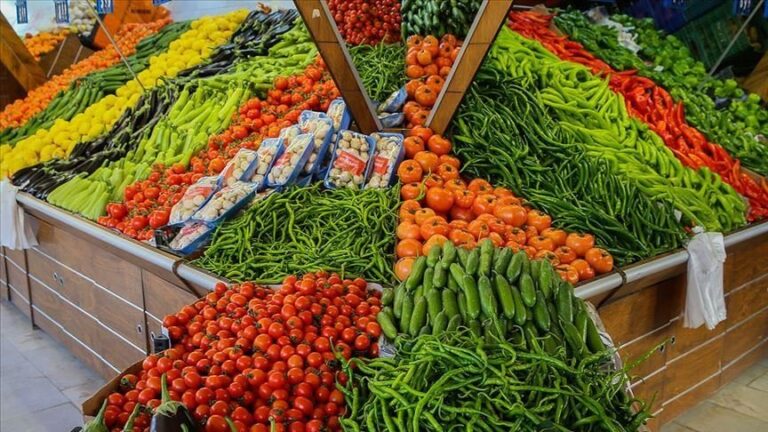 اسعار الخضار والفاكهة اليوم الأحد 4 أغسطس 2024