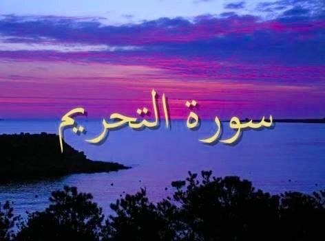 سورة التحريم مكتوبة كاملة بالتشكيل | كتابة وقراءة