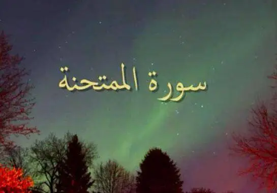 سورة الممتحنة مكتوبة كاملة بالتشكيل | كتابة وقراءة