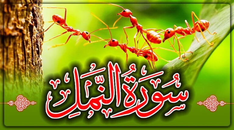 سورة النمل مكتوبة كاملة بالتشكيل كتابة وقراءة