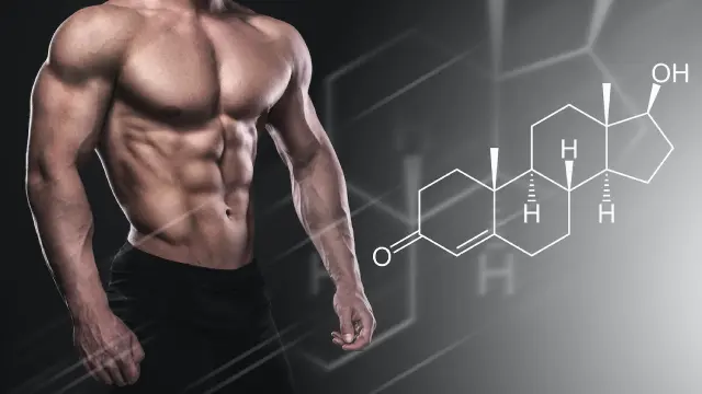 فوائد الترمس للعضو الذكري