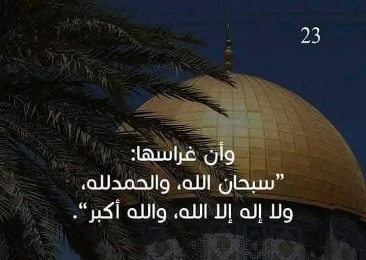 تعرف علي رحلة الإسراء والمعراج كاملة بالصور 