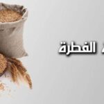 كل ما تريد معرفته عن الأشخاص الذين تجب عليهم زكاة الفطر