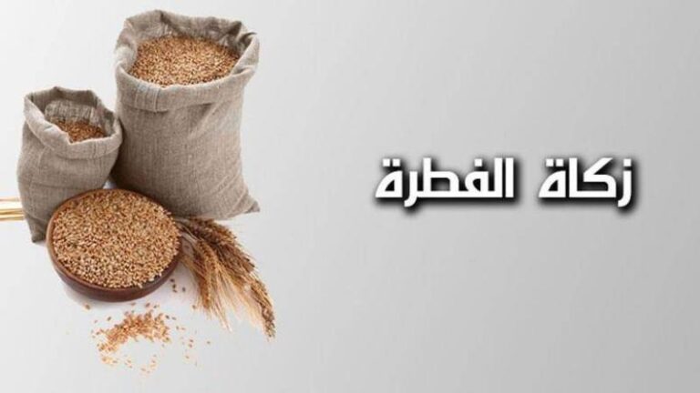 كل ما تريد معرفته عن الأشخاص الذين تجب عليهم زكاة الفطر