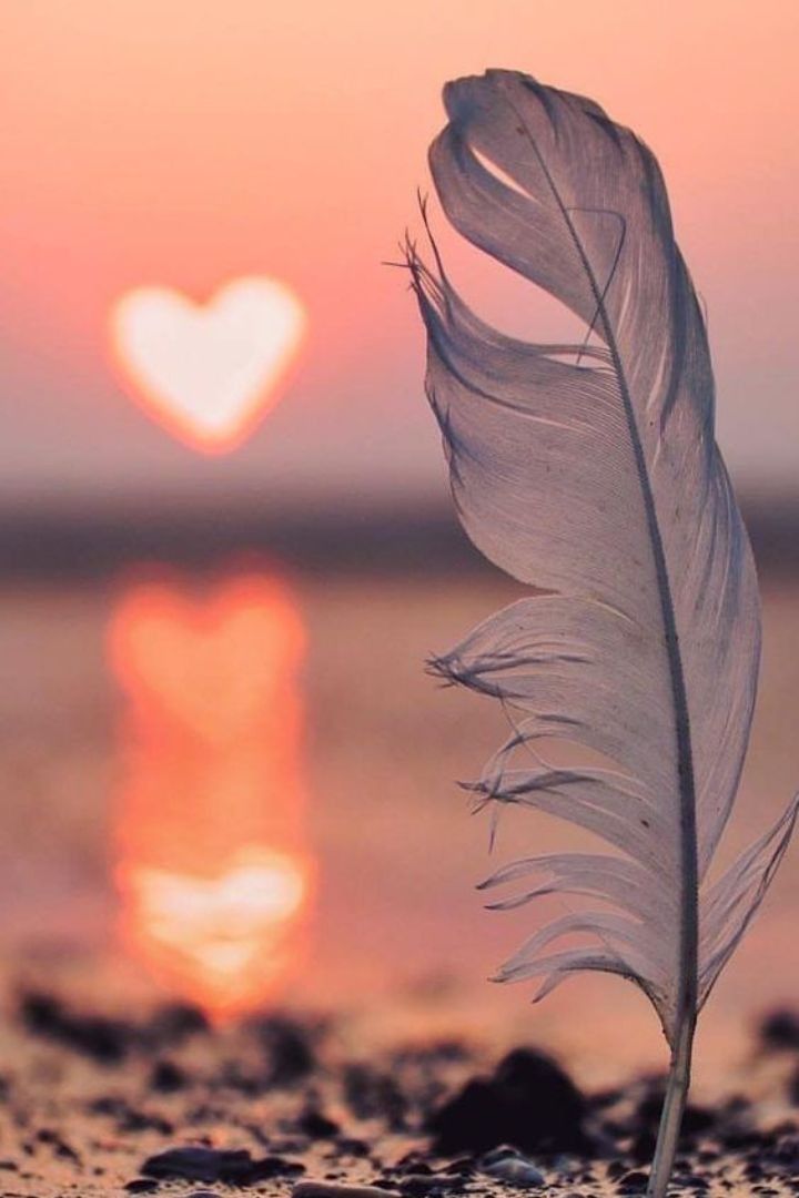 العقدة الأديبية: حين يتحول الإبداع إلى صراع خفي