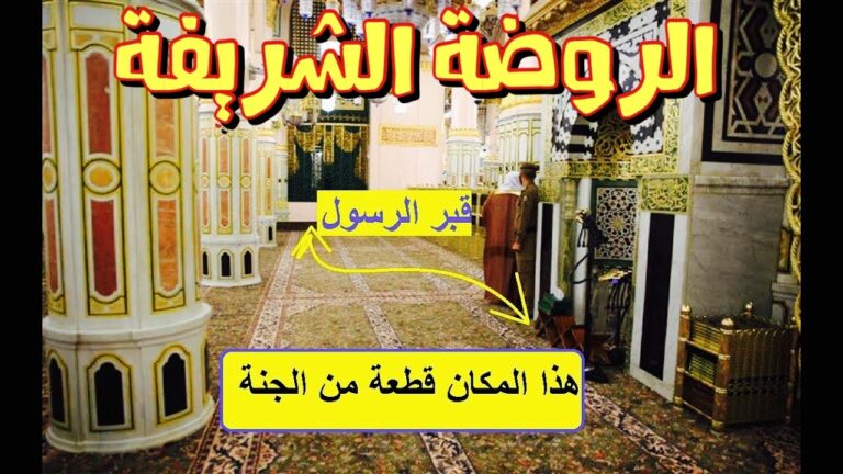 الروضة الشريفة في المسجد النبوي.. فضلها ومكانتها وكيفية زيارتها