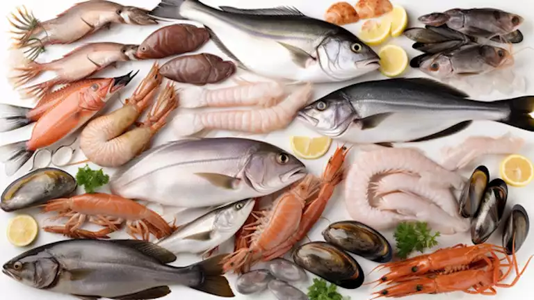 أسعار السمك اليوم الأحد 12 أبريل 2026 في مصر.