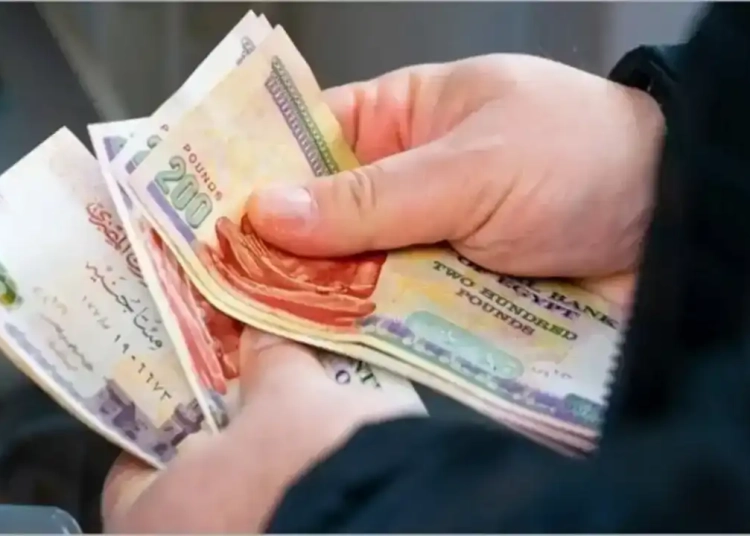 معاش الأب بعد الزواج 2026.. مفاجأة بشأن استمرار صرفه للابنة غير العاملة