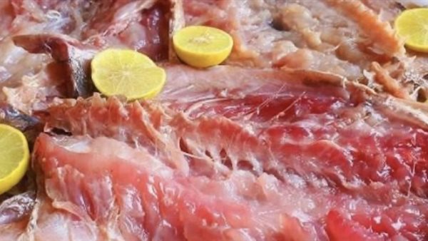 حكم أكل الفسيخ في الإسلام 2026.. هل هو حلال أم حرام؟