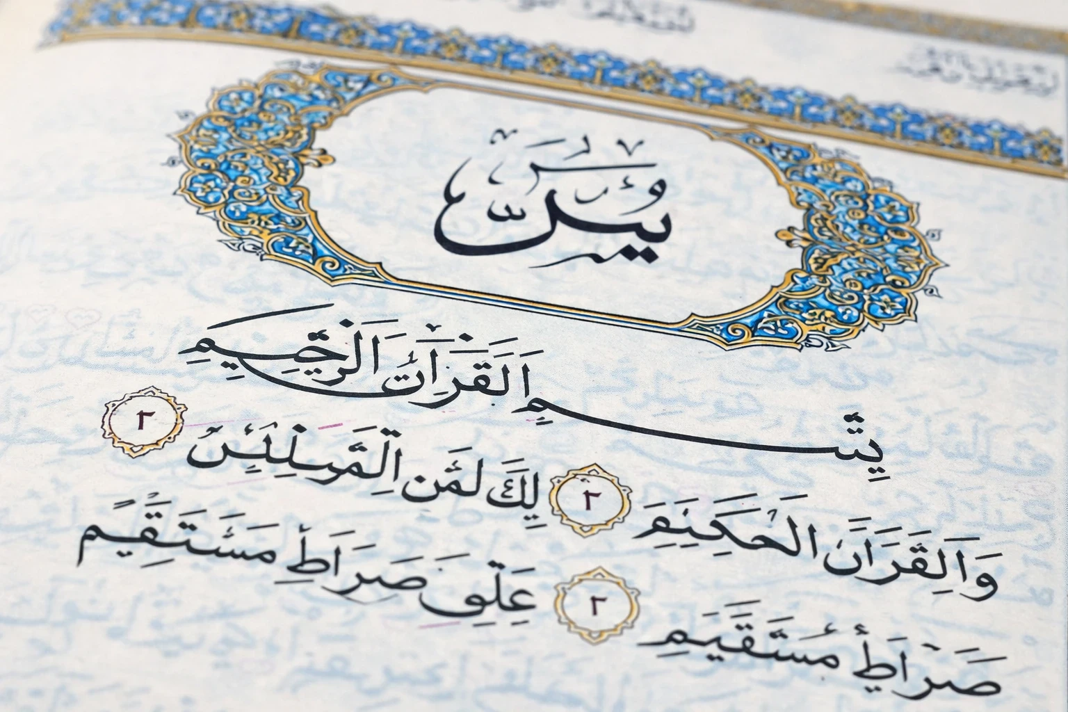 فضل سورة يس قبل النوم