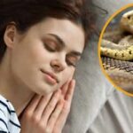 تفسير حلم الثعبان في المنام.. عدو أم تحذير خطير؟