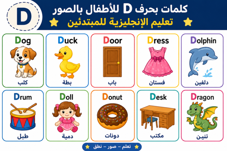كلمات بحرف D للأطفال بالصور | تعليم الإنجليزية للمبتدئين بسهولة