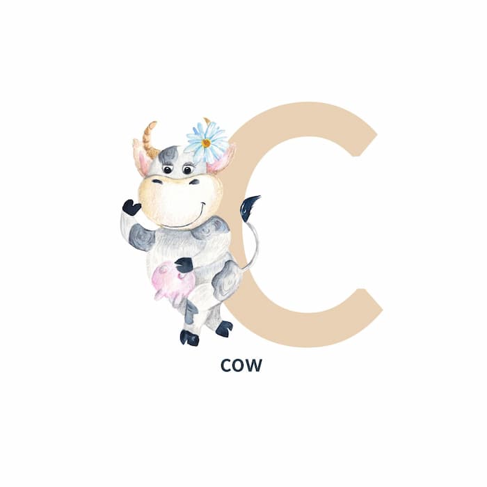 كلمات بحرف C للأطفال بالصور | الإنجليزية للمبتدئين
