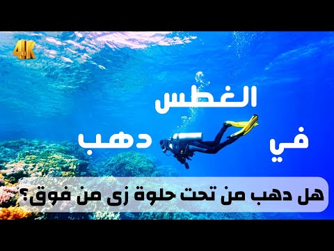 الغطس في دهب !! 2026
