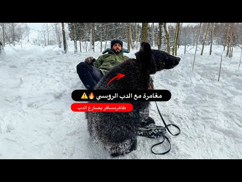 صارعت دب روسي في الثلج 🔥 2026
