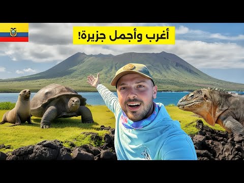 وصلت أغرب جزر العالم ولكن للأسف… 😭🇪🇨 جزر غالاباغوس 2026