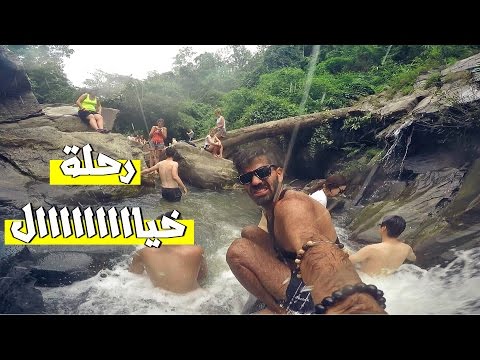 رحلة مع الاجانب في الغابة !! اليوم الثاني – تايلند 2026