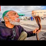 أغرب سوق في العالم !! جولة عفوية في مراكش القديمة 🇲🇦 2026