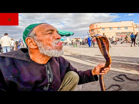 أغرب سوق في العالم !! جولة عفوية في مراكش القديمة 🇲🇦 2026