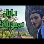 دليلك لزيارة سيريلانكا بأقل التكاليف 2026
