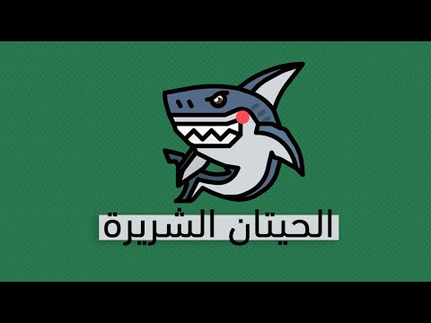 كيف تحمي نفسك من الرجال السيئين؟ – كتاب رجال سيئو الطبع 2026