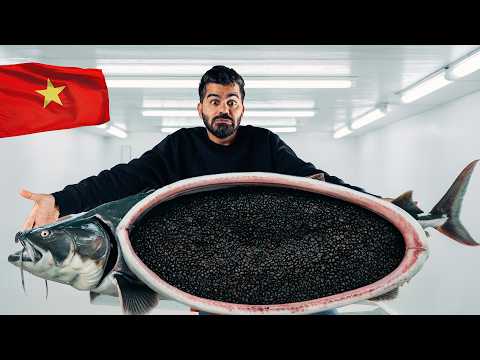 تجربة طعام النخبة لأول مرة في حياتي! (الذهب الأسود) 2026