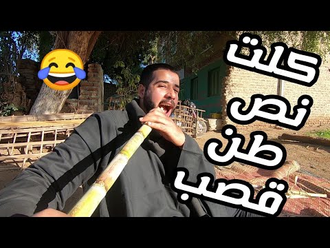 تاني يوم في البلد اجمل قعده فى الحرجه كلت نص طن قصب 2026