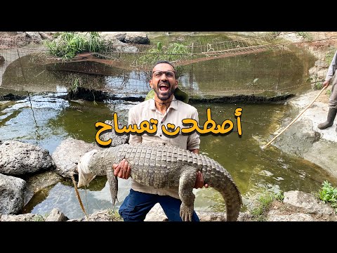 تجربة صيد تماسيح نهر النيل 2026