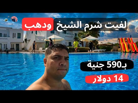 إزاي قضيت أجمل يومين في شرم الشيخ ودهب واكل شارب نايم وبالإنتقالات بـ 590 جنية أو 14 دولار 2026