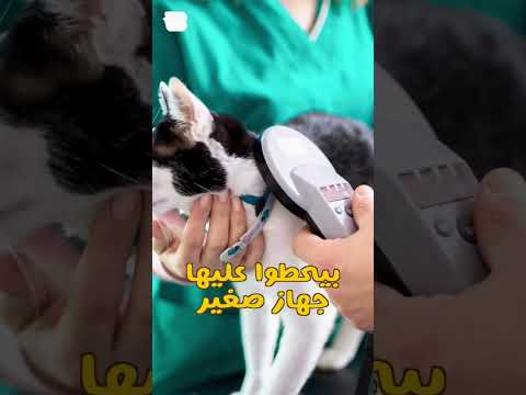 قطتي مزروع فيها شريحة 😮🐱 2026