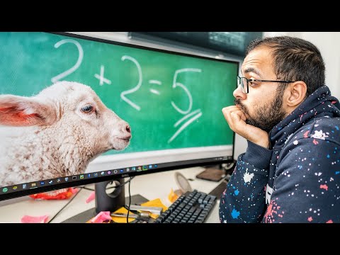 أسئلة| كيف أجبر نفسي على المذاكرة؟ أفضل 5 كورسات؟ لو عايز أبقى أحمد أبوزيد، أعمل إيه؟ 2026