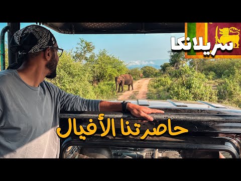 حاصرتنا الافيال في سفاري سريلانكا !! 2026