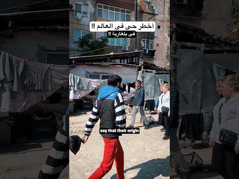 من زمان والغجر حواليهم كلام كتير،هل كل ده حقيقي؟ ولا مجرد صورة نمطية؟ 2026