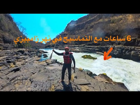 6 ساعات مع التماسيح في نهر زامبيزي 2026