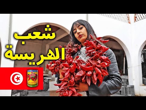 Tunisie : Nabel 2026