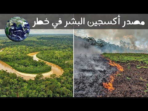 رئة الأرض تحترق, والسبب غبي! حريق غابات الأمازون 🔥 2026