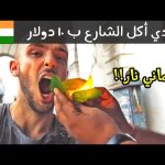 تحدي أكل الشارع الهندي ب ١٠ دولار – أكلت نار!! 🔥 مدينة ديلهي 2026